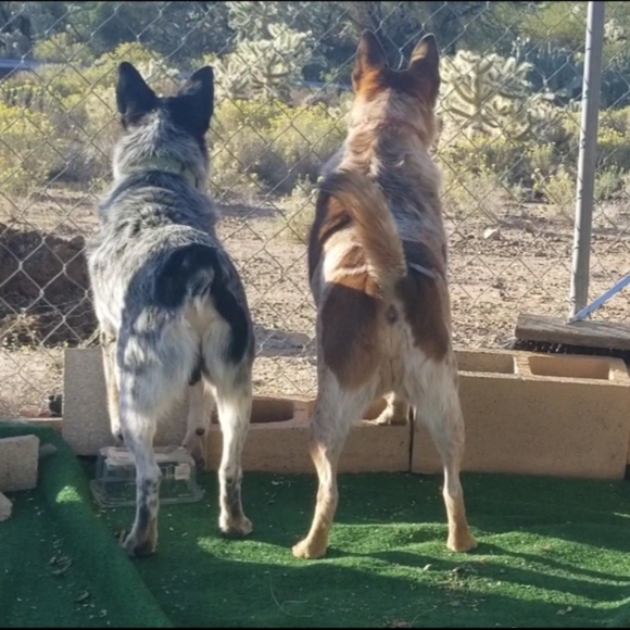 Meet your Posher, Aunt tata - Picture 3 of 8